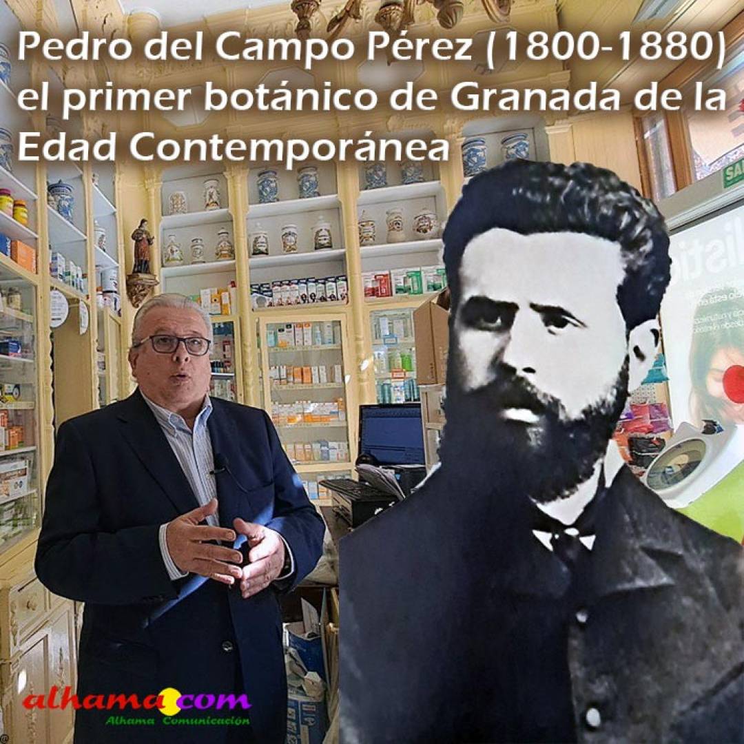 Pedro del Campo Pérez (1800-1880), el primer botánico de Granada de la Edad Contemporánea