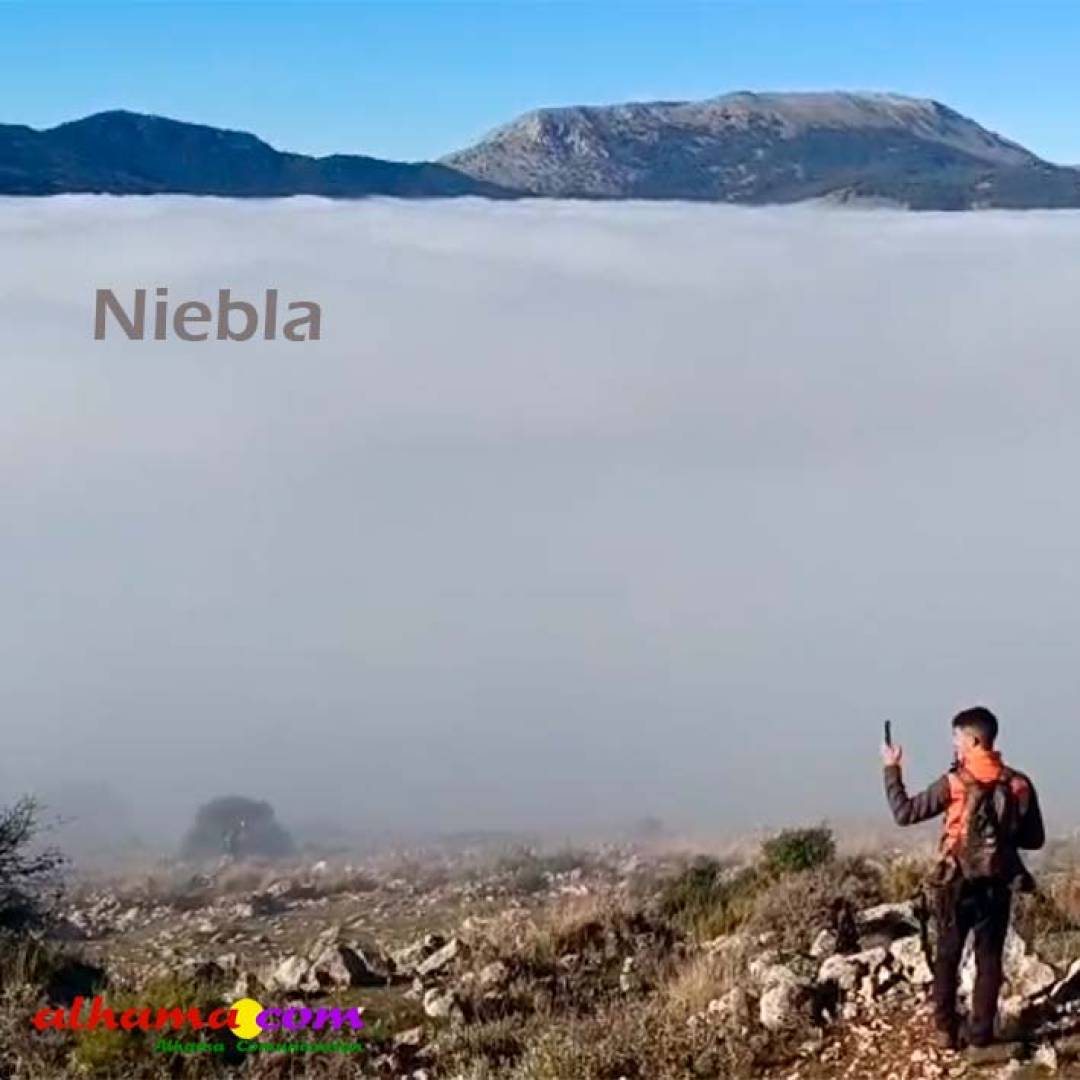 Niebla