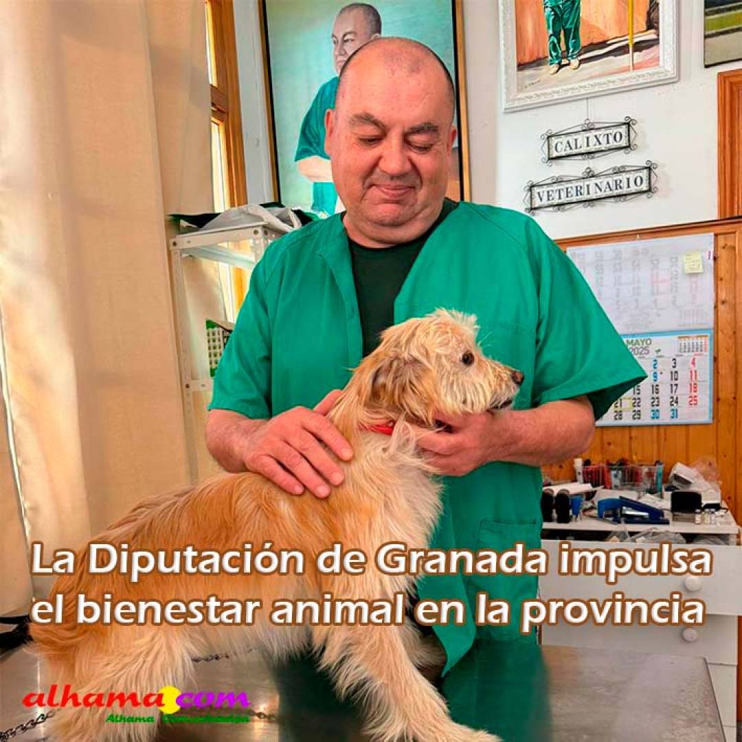 La Diputación de Granada impulsa el bienestar animal en la provincia