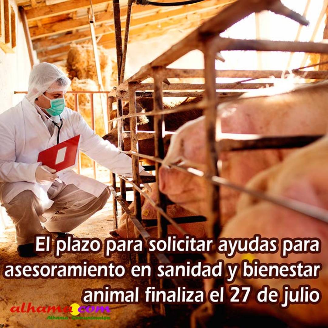 El plazo para solicitar ayudas para asesoramiento en sanidad y bienestar animal finaliza el 27 de julio