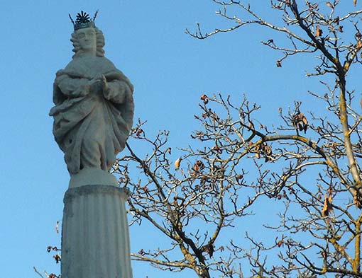 Detalle de la imagen